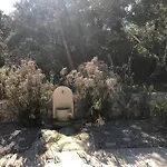Garrigue فيلة *