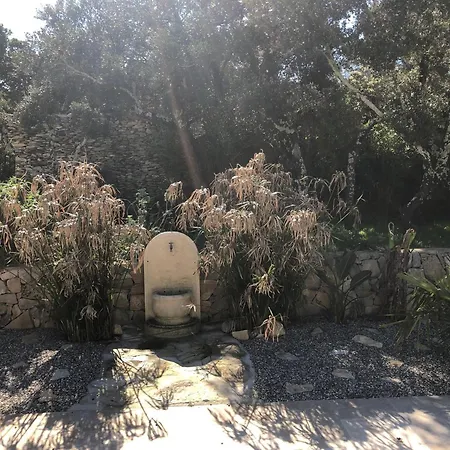 Garrigue Вилла *